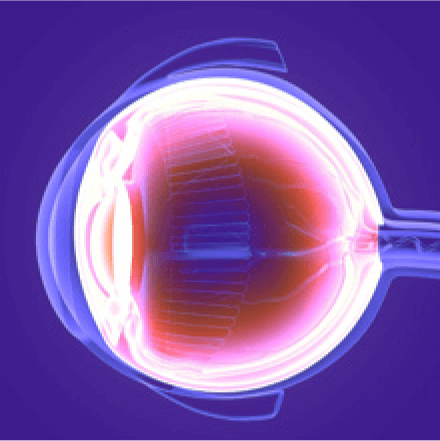 Cura della retina e della macula