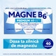 Magne B6