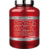 100% Whey Protein Gusto cioccolato professionale con nocciole, 2.350 g, Scitec Nutrition