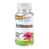 Echinacea Solaray, 100 capsule, Secom