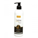 Shampoo Premium-Vital all'origano, 250 ml, Promedivet