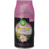 Airwick Deodorante spray di ricambio Fiore di Loto, 250 ml