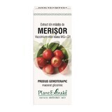 Estratto di germogli di mirtillo rosso, 50 ml, Plant Extrakt