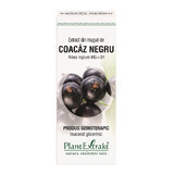 Estratto di gemme di Ribes Nero, 50 ml, PlantExtrakt