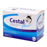 Antiparassitario interno per cani Cestal Plus Chew, 200 compresse masticabili, Ceva Sante