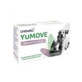 Integratore per supportare il metabolismo delle articolazioni nei cani YuMove Advance 360, 270 compresse, Lintbells