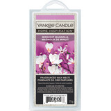 Yankee Candle Candela profumata magnolia di mezzanotte, 1 pz