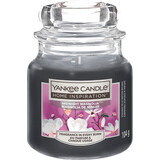 Yankee Candle Candela profumata alla magnolia Midnight, 104 g