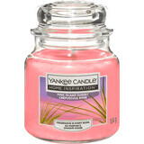 Yankee Candle Candela profumata Isola Rosa, 104 g