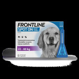 Frontline Spot On L, 20-40 kg, 3 pipette, Frontline