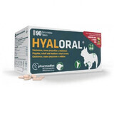 Supplement for small and medium dogs Hyaloral, 90 tablets, Pharmadiet