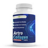 Artro Collagen Forte, 30 capsule, Dose salutare