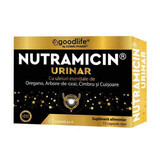 Nutramicin Urinaire, 15 gélules, Cosmo Pharm