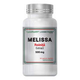 Estratto di melissa, 500 mg, 60 capsule, Cosmo Pharm