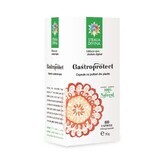 Gastroprotect, 60 capsule, Divine Star