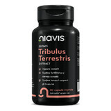 Estratto di Tribulus Terrestris, 60 capsule, Niavis