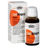 Colibiogen Kinder, soluzione orale 50 ml, Laves Arzneimittel