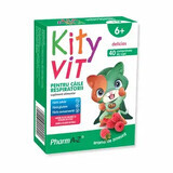 KityVit per le vie respiratorie x 40 suzione al gusto di lampone cpr