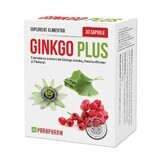 Ginkgo Plus, 30 capsule, Parapharm