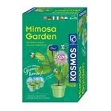 Set educativo Giardino degli steli con Mimoze, +6 anni, Kosmos