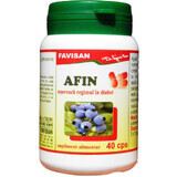 Afin, 40 capsule, Favisan