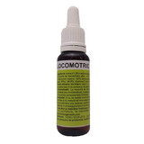 Locomotiva Optim 5, 30 ml, Colophon Invent