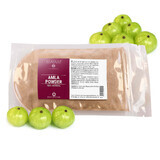 Amla in polvere (M - 1295), 100 g, Mayam