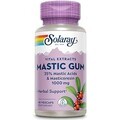 Mastic Gum 500 mg Solaray, 45 capsule, Secom