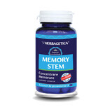 Memory Stem, 60 capsule, Herbagetica