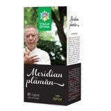 Meridian Polmone, 100 ml, Steaua Divina