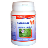 Naprasnic, 40 capsules, Favisan