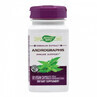 Andrographis SE Nature's Way, 60 capsules, Secom