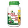 Potent Power, 50 tablet, Ayurmed