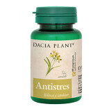 Antistress, 60 compresse, Pianta Dacia