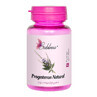 Progesterone Natural Sublime, 60 tablets, Dacia Plant