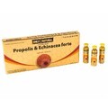 Propolis et Echinacea Forte, 10 ampoules, Only Natural