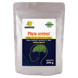 Ginkgo biloba e Ginseng Phyto cerebrale in polvere, 200 g, Phyto Biocare