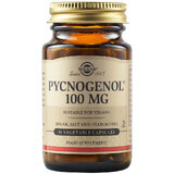 Pycnogenol 100 mg, 30 cápsulas, Solgar