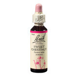 Gocce di rimedio floreale di castagne commestibili di Bach Sweet Chestnut Original Bach, 20 ml, Rescue Remedy