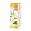 Oralmed spray bucal, 20 ml, Apipharma