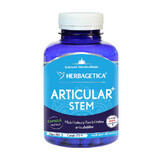 Articular+ Stem, 120 capsule, Herbagetica