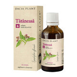 Tintura Tataneasa, 50 ml, Pianta Dacia