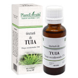 Tintura di Thuja, 30 ml, PlantExtrakt