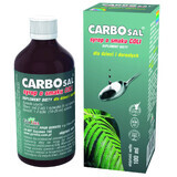 Sciroppo Carbosal al Sapore di Cola - Soluzione Naturale per Dispepsia Intestinale, 100 ml