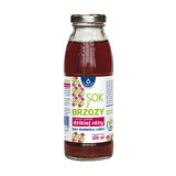 Birch fruit juice with rosehip infusion, no added sugar, 300 ml