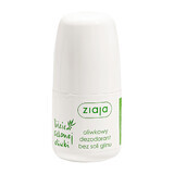 Ziaja, Foglie di Olivo, Deodorante senza sale di alluminio, roll-on, 60ml.