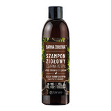 Barwa Ziołowa, black chickpea shampoo, 250 ml