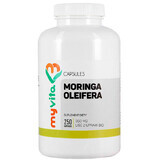 MyVita, Moringa oleifera, 250 capsule