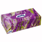 Mola Big Box, facial wipes, 120 pieces