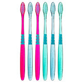 Jordan Target Teeth &amp; Gengive, spazzolino da denti, medio, 2 pezzi